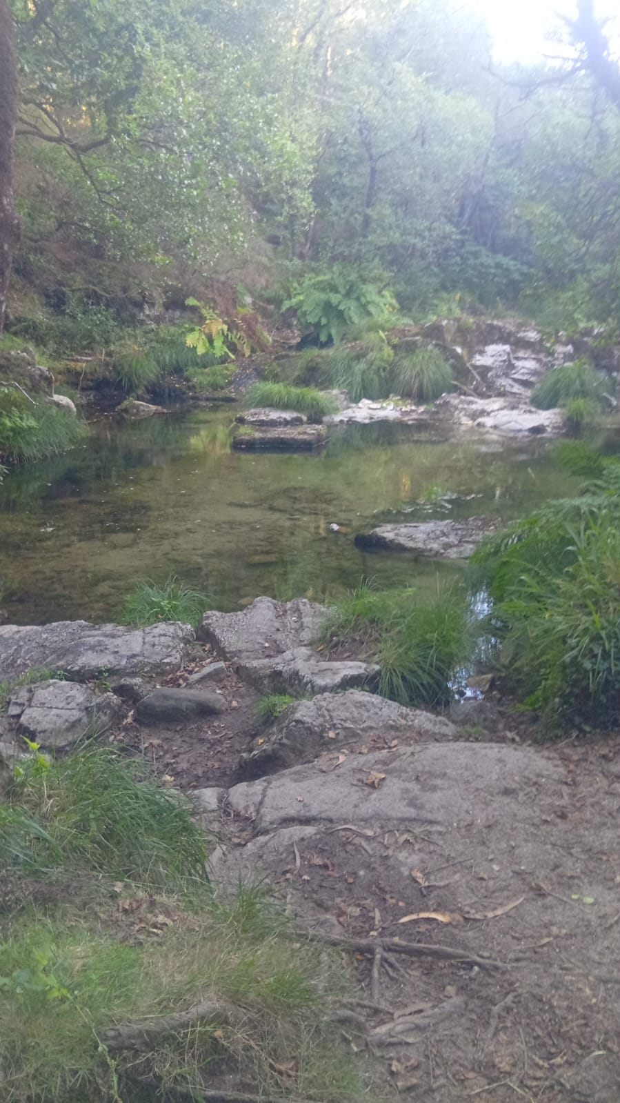 Estado do encoro do Canal da Marina e rios de Neda