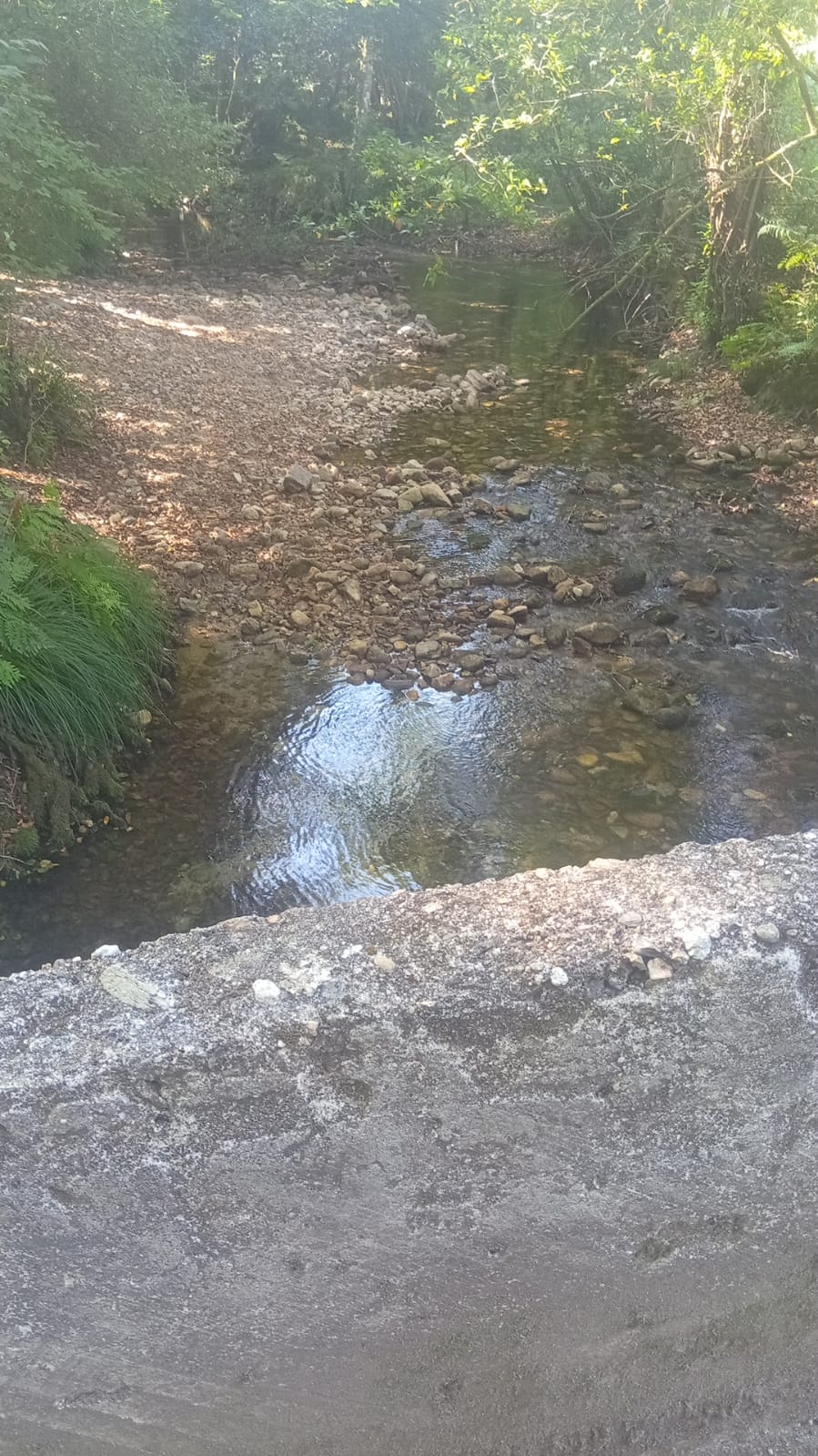 Estado do encoro do Canal da Marina e rios de Neda